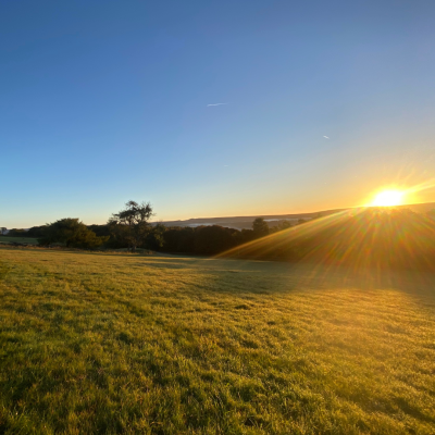 website images (28)